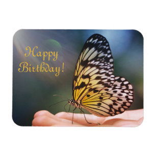 Happy Birthday Friendly Butterfly Magnet