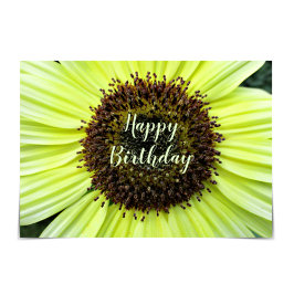 "Happy Birthday" fröhliche Sonnenblumenkarte Karte