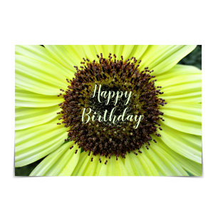 "Happy Birthday" fröhliche Sonnenblumenkarte Karte