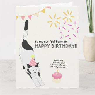Happy Birthday From Cat to Purfect House Karte