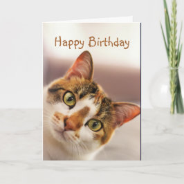 Happy Birthday Fun Cat Kitten Pop in Karte