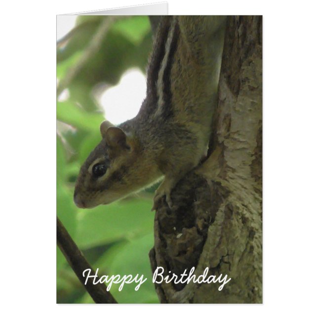 Happy Birthday Funny Chipmunk Card (Vorne)