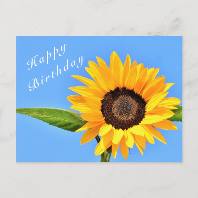 Happy Birthday - Gelbe Sonnenblume auf blauem Himm Postkarte (Vorderseite)