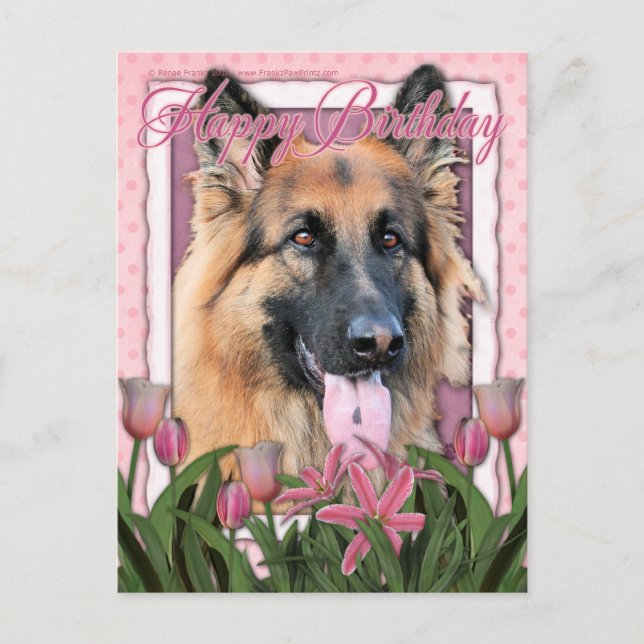Happy Birthday - German Shepherd - Long haarig Postkarte (Vorderseite)