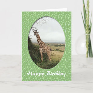 Happy Birthday-Giraffenkarte Karte