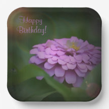 Happy Birthday Glows Zinnia