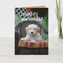 Happy Birthday Golden Doodle Puppy Karte