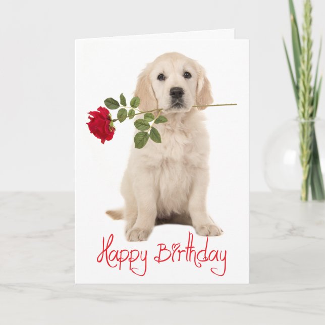 Happy Birthday Golden Retriever Puppy Dog Card Karte (Vorderseite)
