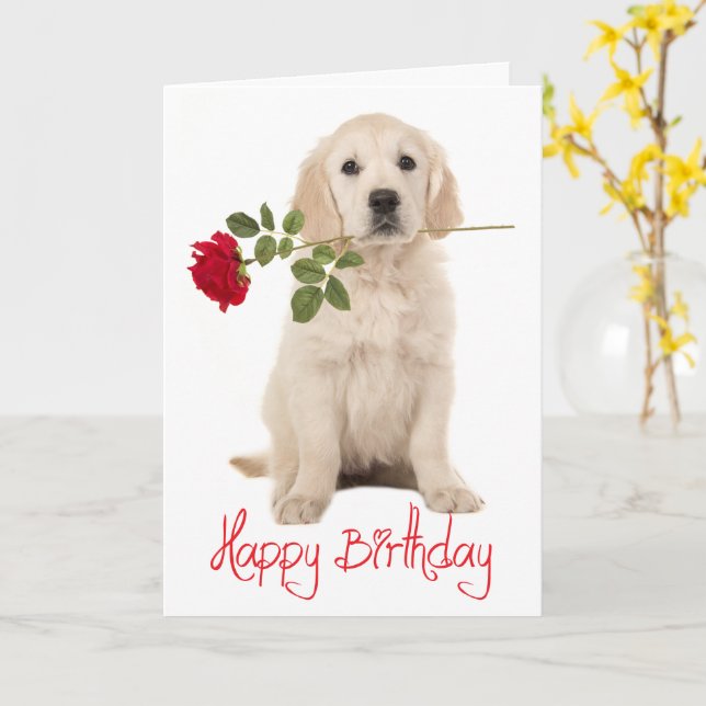 Golden Retriever Geburtstagskarte – Lustige Hundekarte Mit Persönlicher Botschaft | 15,2x20,3 Cm | Hochwertig Aus Großbritannien