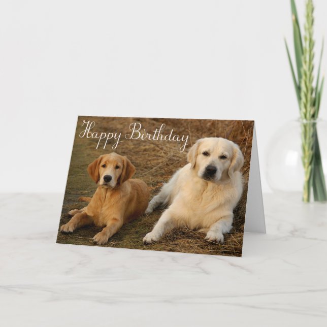 Happy Birthday Golden Retriever Puppy Dog Karte (Vorderseite)