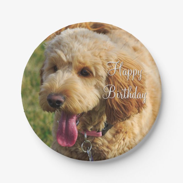 Happy Birthday Goldendoodle Dog Pappteller (Vorderseite)