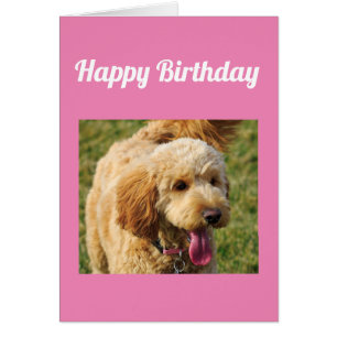 Happy Birthday Goldenoodle Dog Card