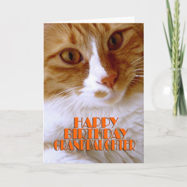 Happy Birthday Grandtochter - Sweet Cat Karte (Vorderseite)