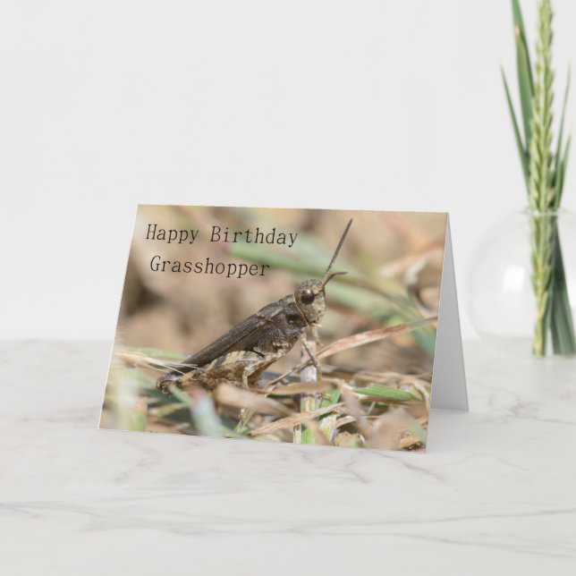 Happy Birthday Grasshopper Grußkarte Karte (Vorderseite)