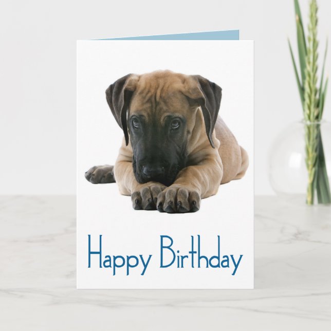 Happy Birthday Great Dane Puppy Dog Card - Verse Karte (Vorderseite)