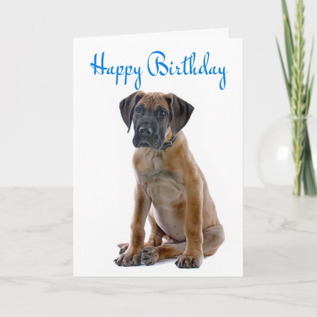 Happy Birthday Great Dane Puppy Dog Card - Verse Karte (Vorderseite)