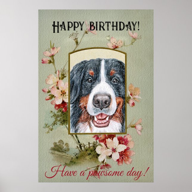 Happy Birthday Greetings Bernese Mountain Dog Poster (Vorne)