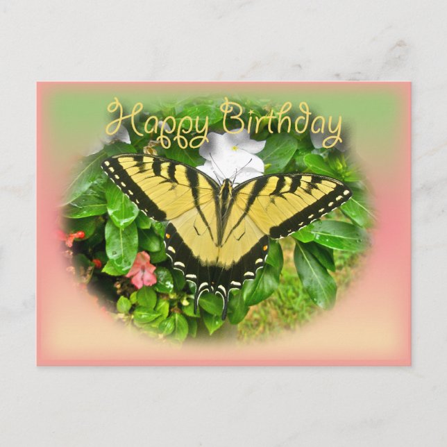 Happy Birthday Gruß Tiger Frack Butterfl Postkarte (Vorderseite)