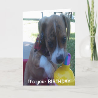 Happy Birthday Grußkarte Welpen trinken Karte