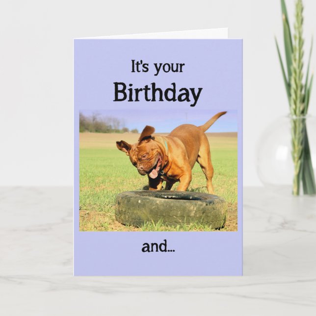 Happy Birthday Happy Dog Fun wünscht sich Karte (Vorderseite)