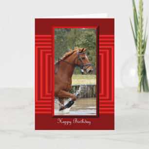 Happy Birthday Horse Birthday mare stallion foal Karte