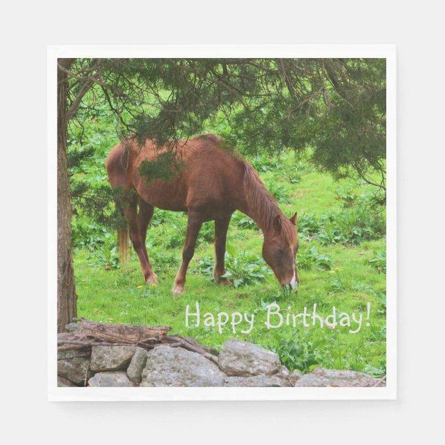 Happy Birthday Horse Serviette (Vorderseite)