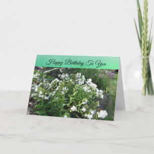 Happy Birthday Hübsch White Field of Blume Karte