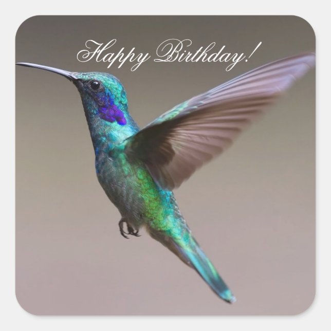 Happy Birthday Hummingbird Quadratischer Aufkleber (Vorderseite)