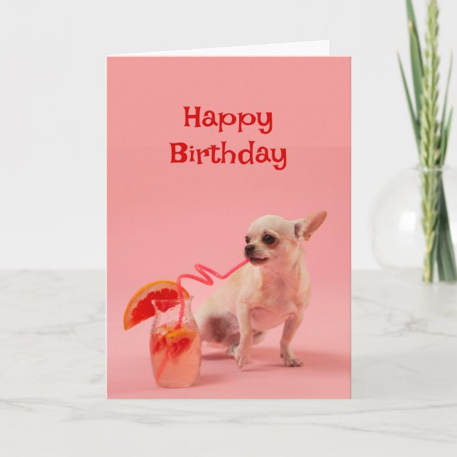 Happy Birthday Hund mit Cocktail Drink Celebrate Karte (Vorderseite)