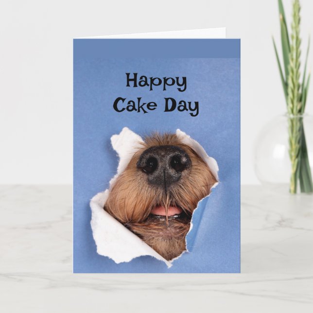 Happy Birthday Hund riecht Cake Animal Fun Karte (Vorderseite)