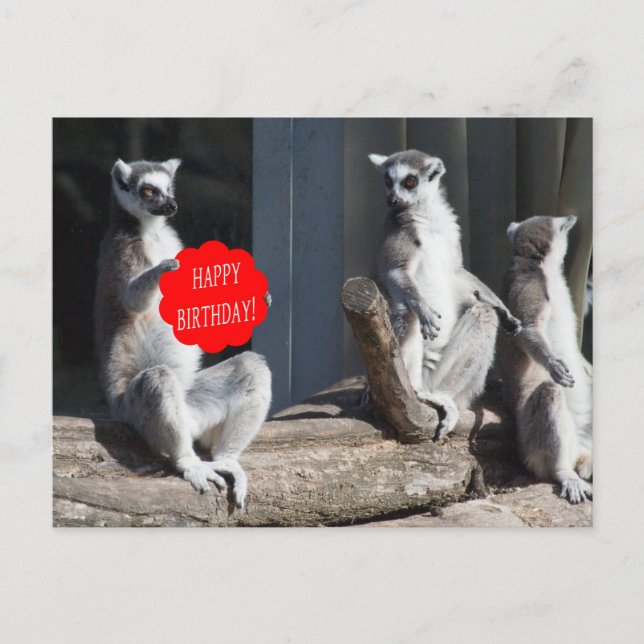 Happy Birthday Katta Postkarte (Vorderseite)