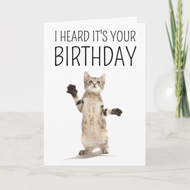 Happy Birthday | Kitten auf Weiß Karte (Vorderseite)