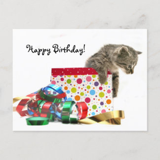 Happy Birthday Kitten Postkarte
