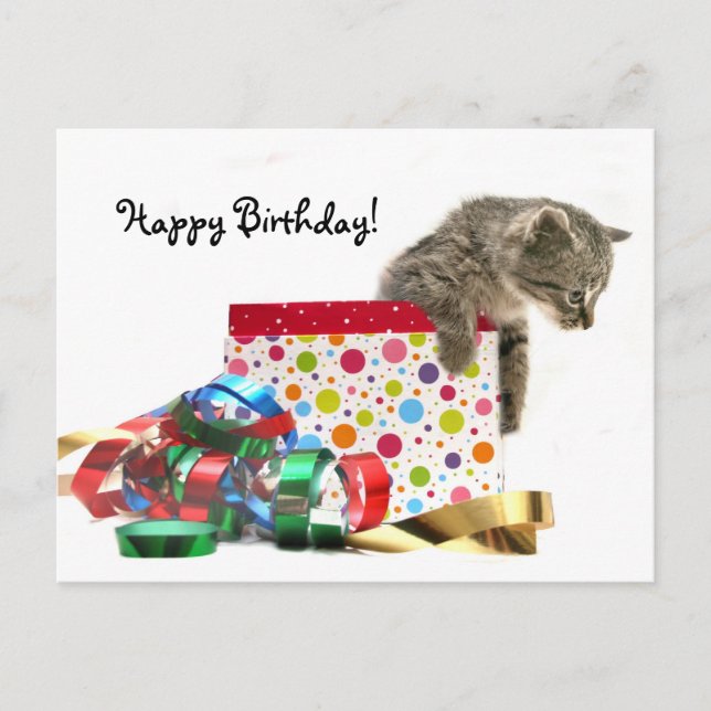 Happy Birthday Kitten Postkarte (Vorderseite)