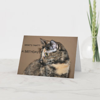 Happy Birthday Kitty Card Karte