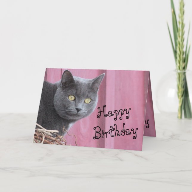Happy Birthday Kitty Cat Card Karte (Vorderseite)
