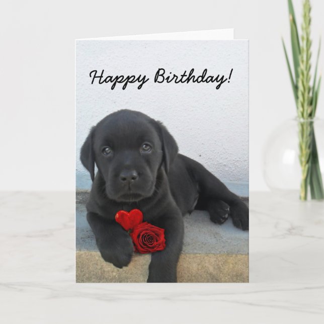 Happy Birthday Labrador Retriever greeting card Karte (Vorderseite)