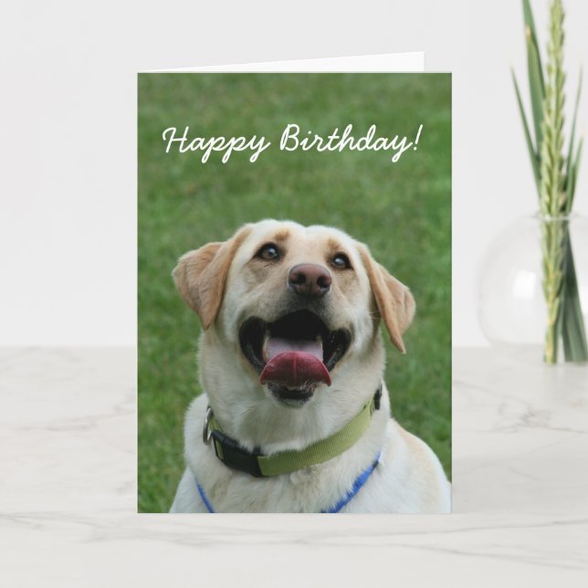 Happy Birthday Labrador Retriever greeting card Karte (Vorderseite)