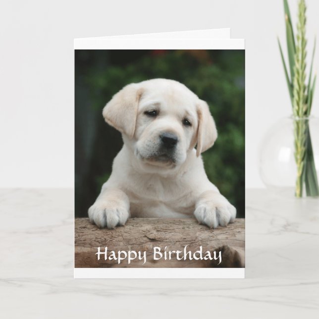 Happy Birthday Labrador Retriever Puppy Card Karte (Vorderseite)