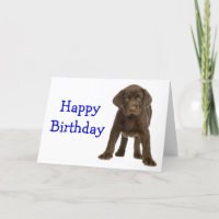 Happy Birthday Labrador Retriever Puppy Dodge Card