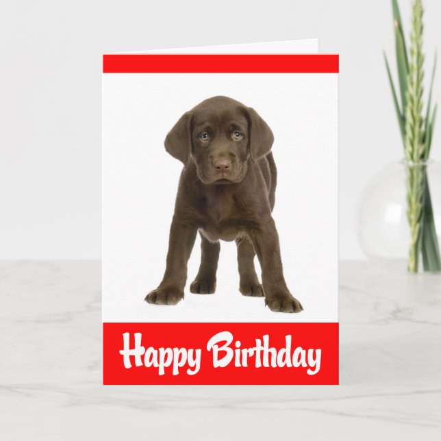 Happy Birthday Labrador Retriever Puppy Dodge Card Karte (Vorderseite)