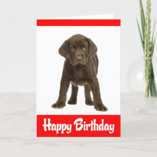 Happy Birthday Labrador Retriever Puppy Dodge Card Karte
