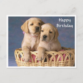 Happy Birthday Labrador Retriever Puppy Post Card Postkarte