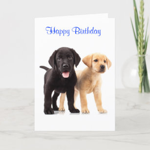 Happy Birthday Labrador Retriever Welpen Card Karte