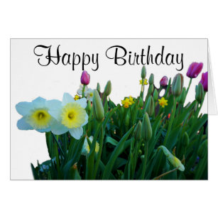 Happy Birthday Large Cupped Daffodil #2 Card