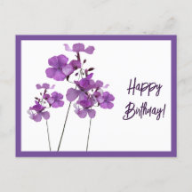 Happy Birthday lila schottische wilde Blume boho