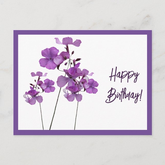 Happy Birthday lila schottische wilde Blume boho Postkarte (Vorderseite)