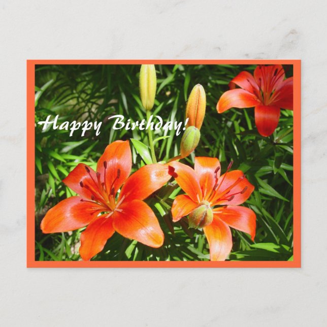 Happy Birthday Lilies Postkarte (Vorderseite)