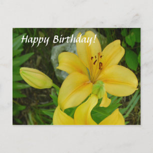 Happy Birthday Lily Postkarte