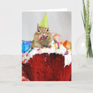 Happy Birthday Little Chipmunk Karte